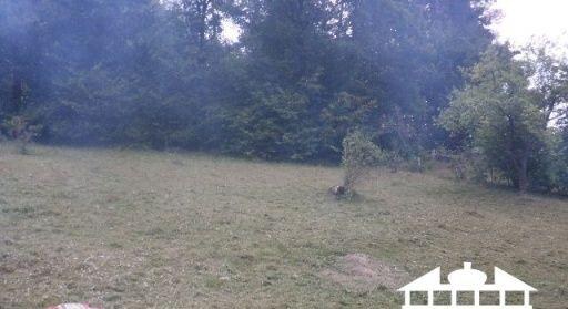 Pekným slnečným pozemkom 1321 m2 s chatkou — foto 3