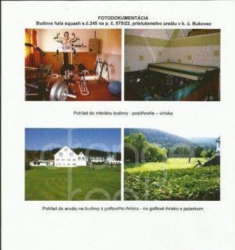 ID2829 - Hotel Hrabina s rekreačným areálom a príslušenstvom pri obci — foto 3
