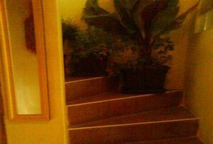 Predám za prijateĺnú cenu rodinný dom priamo v Bratislave — foto 1