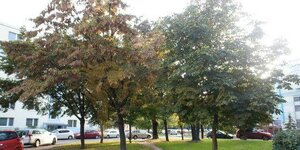 Veľký 2-izb. Nezábudková, pôvodný stav s plastovými oknami — foto 1