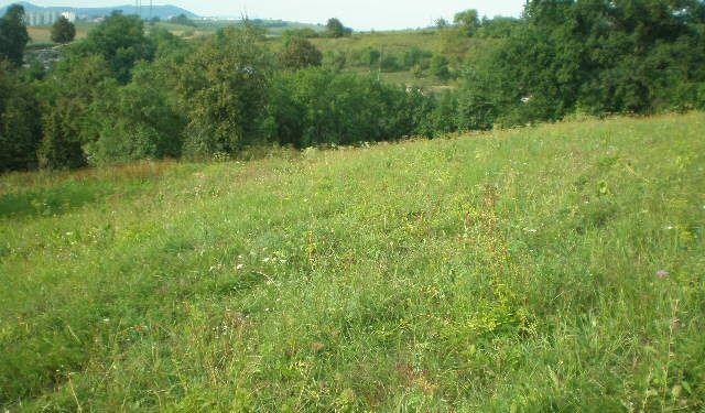 PB2025 Pozemok Dolný Moštenec - slnečný, 1550 m2
