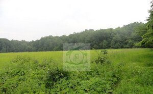 PREDAJ: pozemok, Záborské — foto 1
