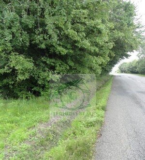 PREDAJ: pozemok, Záborské — foto 2
