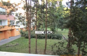 aTRIOREAL - PREDAJ - 4I BYT - M.C.SKLODOVSKEJ, PETRZALKA , OVSISTE. — foto 1