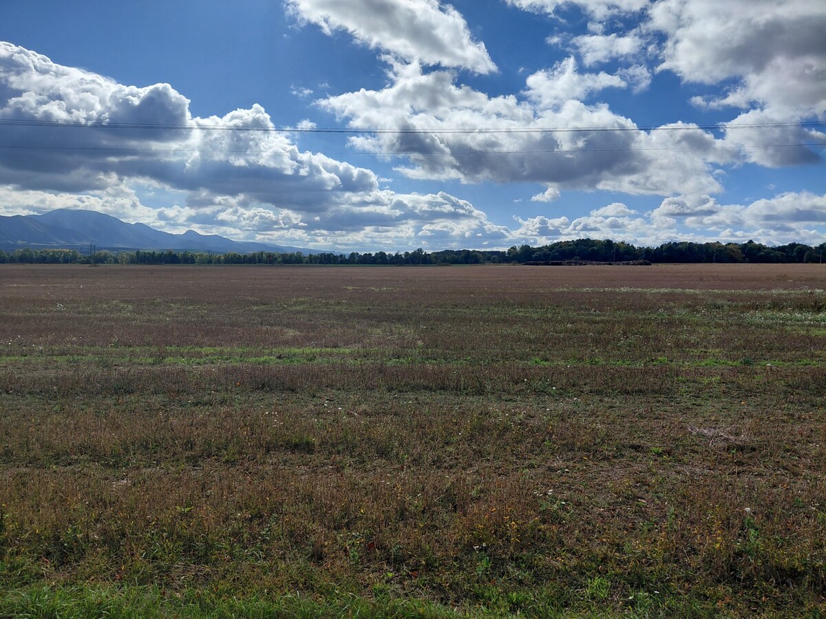 Na predaj: Pozemok s potenciálom do budúcna, 2 898 m² – Bystrička — foto 2