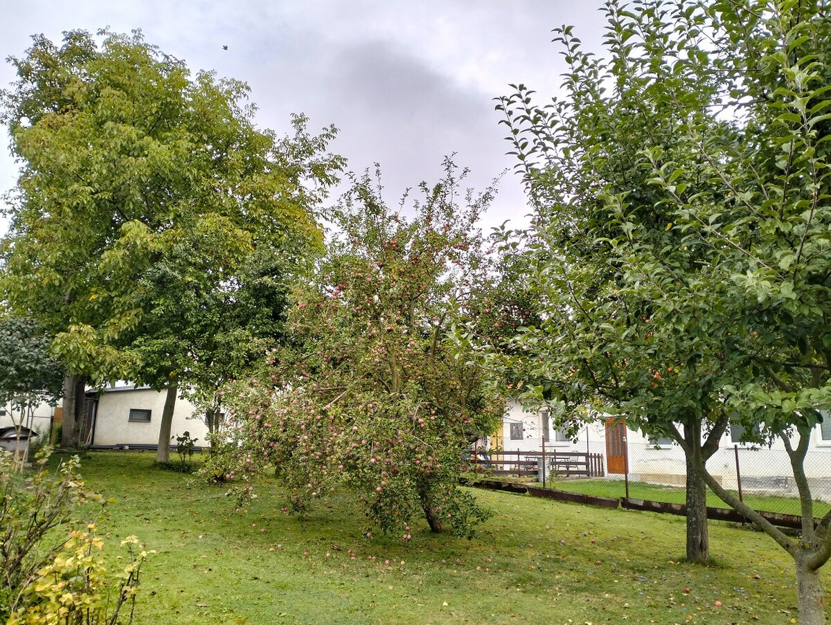 5-izbový rodinný dom, Vrútky — foto 13