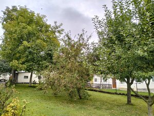 5-izbový rodinný dom, Vrútky — foto 13