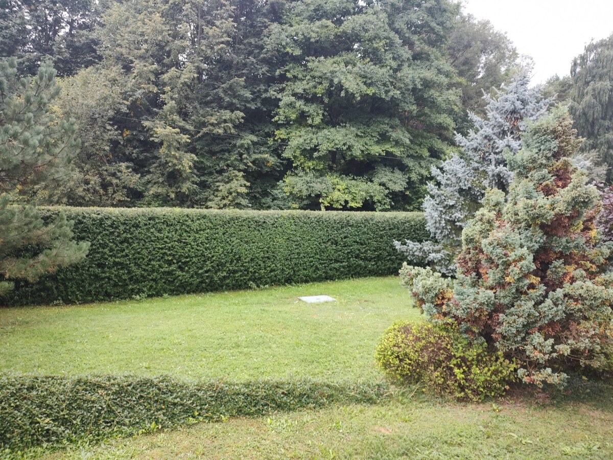 Priestranný dom v Trebostove -rezervovaný — foto 13