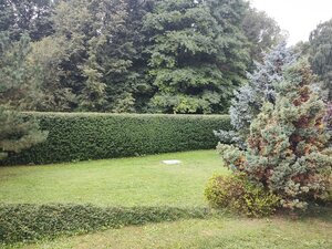Priestranný dom v Trebostove -rezervovaný — foto 13