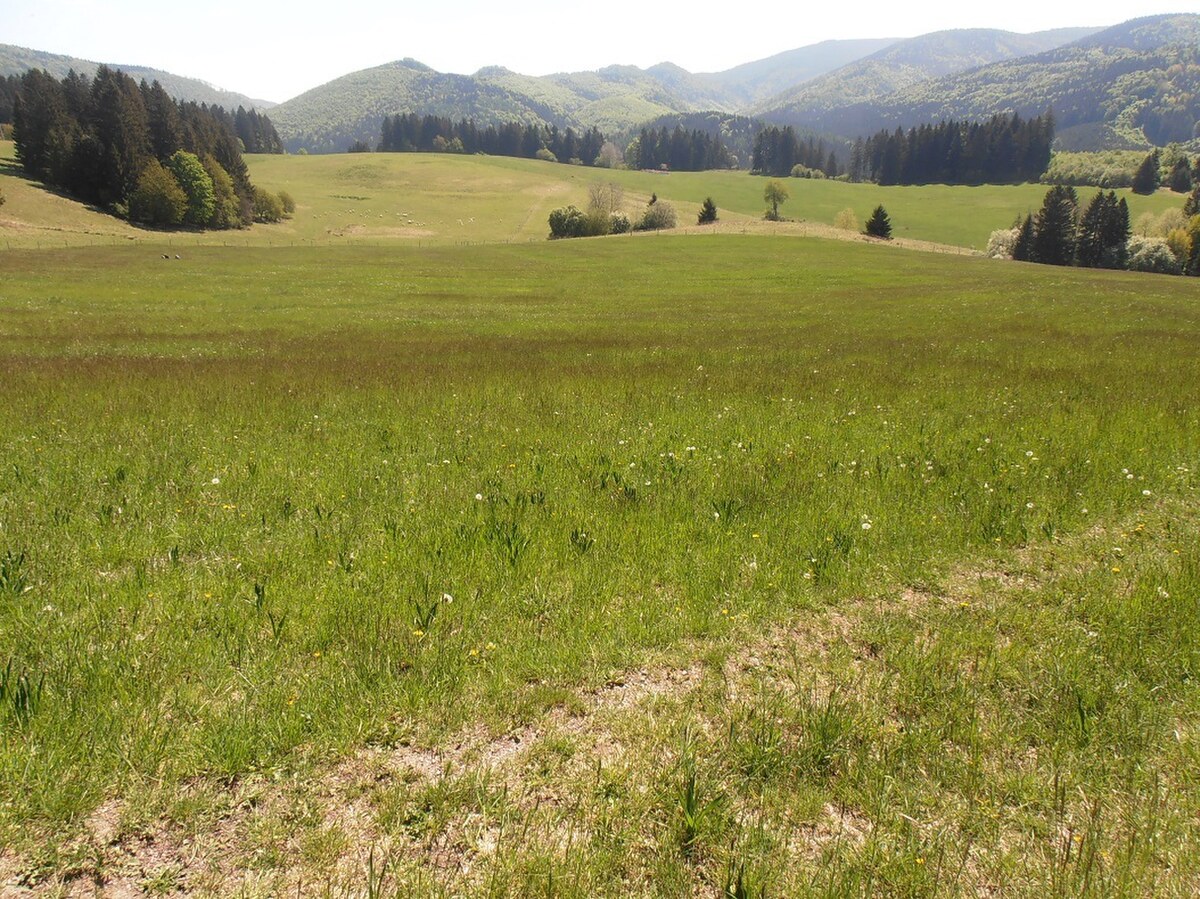 Slnečný pozemok, 1755 m2, Čremošné