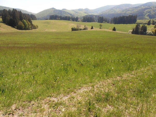 Slnečný pozemok, 1755 m2, Čremošné
