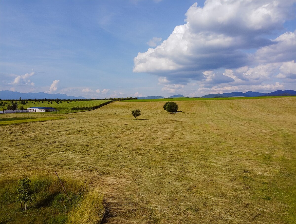 Rovinatý stavebný pozemok, Necpaly — foto 6