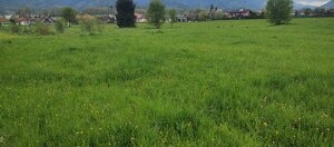 pozemok MT-Priekopa — foto 11