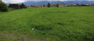pozemok MT-Priekopa — foto 5