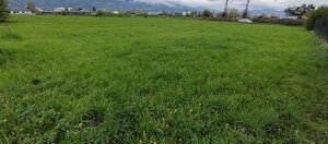 pozemok MT-Priekopa — foto 8