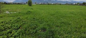 pozemok MT-Priekopa — foto 9