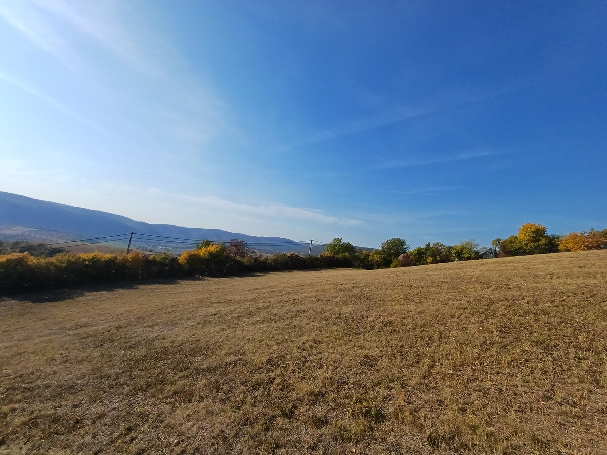 Krásne slnečné pozemky v chatovej oblasti Hrušov. — foto 2
