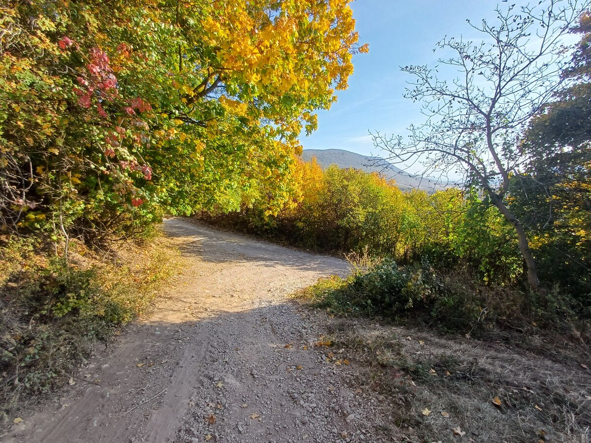 Krásne slnečné pozemky v chatovej oblasti Hrušov. — foto 6