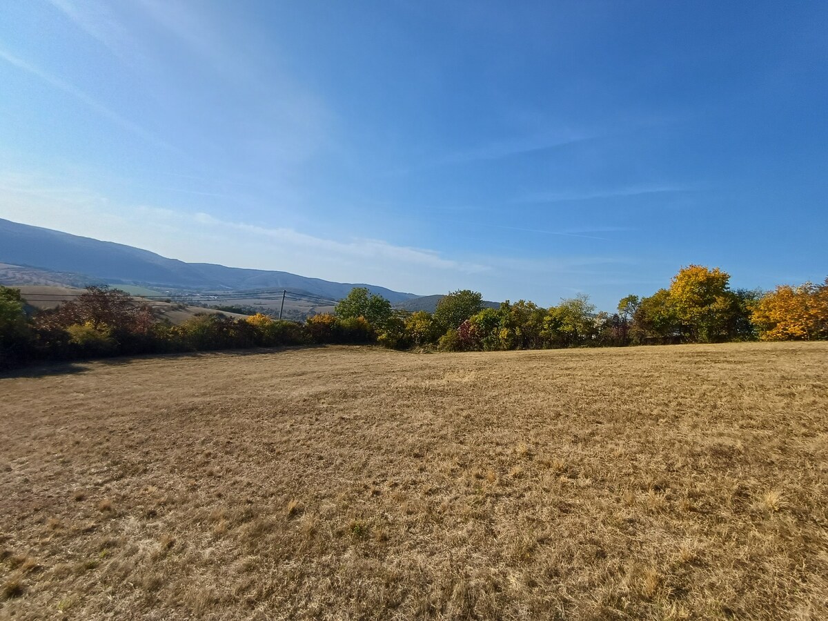 Krásne slnečné pozemky v chatovej oblasti Hrušov. — foto 8