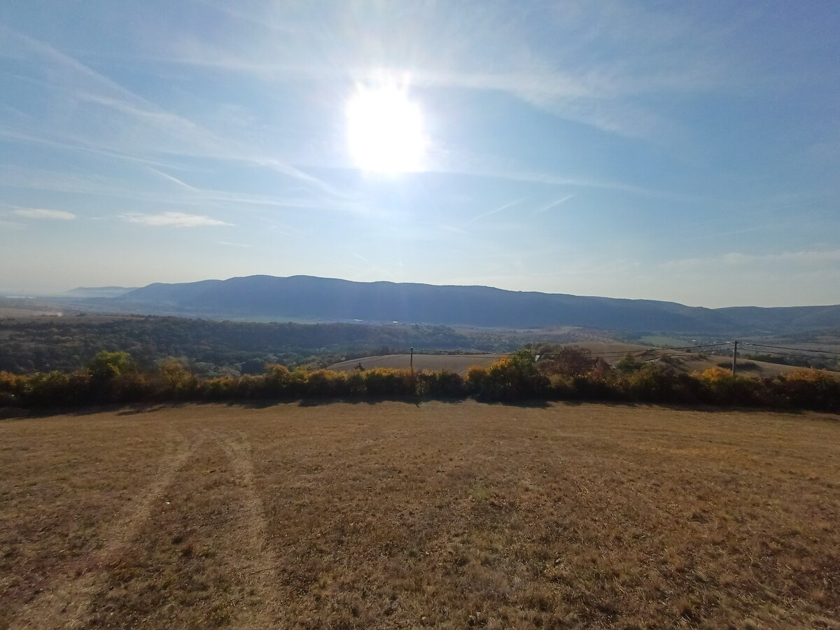 Krásne slnečné pozemky v chatovej oblasti Hrušov. — foto 9
