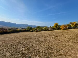 Krásne slnečné pozemky v chatovej oblasti Hrušov. — foto 3