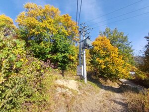 Krásne slnečné pozemky v chatovej oblasti Hrušov. — foto 5