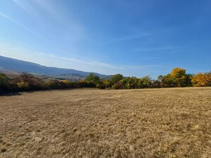 Krásne slnečné pozemky v chatovej oblasti Hrušov. — foto 8