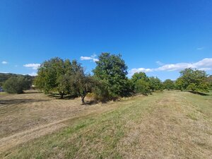 Rodinný dom s rozľahlým pozemkom-Brzotín. — foto 11