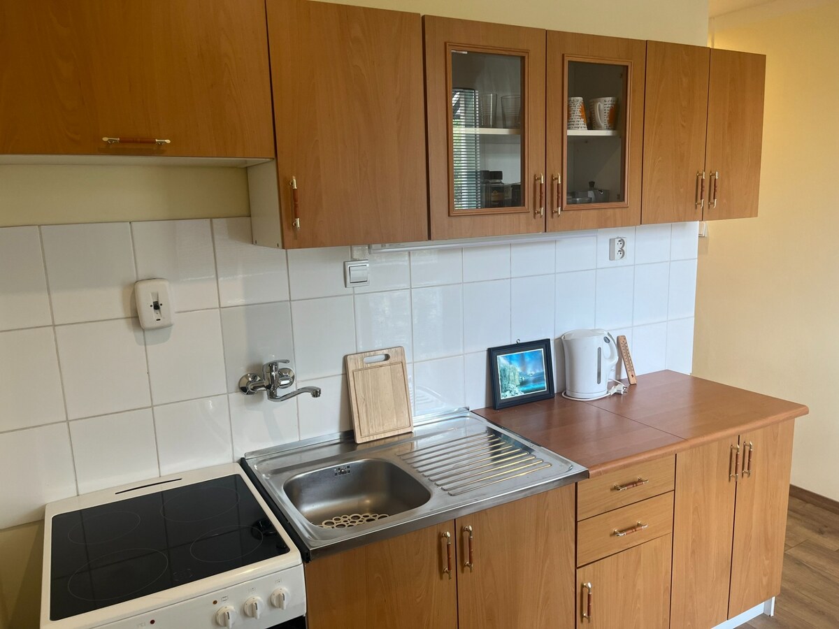 1 izbový byt s dvoma balkónmi - "PREDANÝ" — foto 11