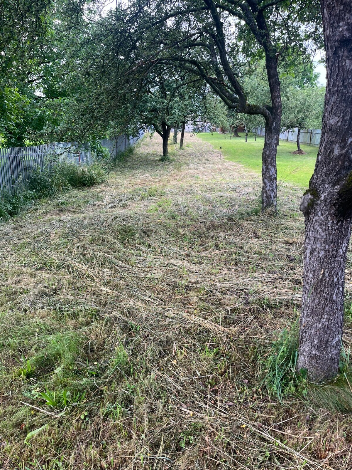 Predaj rekreačného pozemku v obci Vlachovo — foto 4