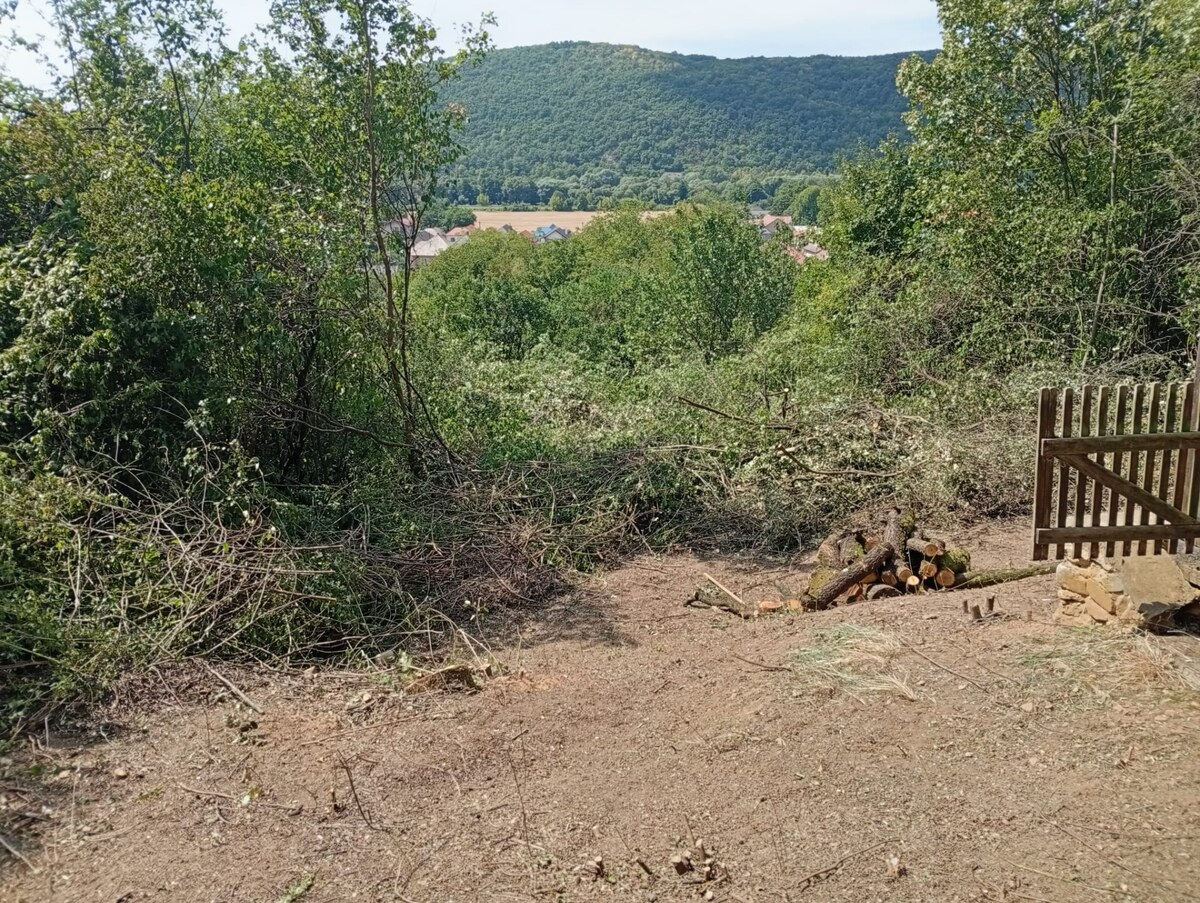 Chatka v chatovej oblasti- Plešivec. — foto 3