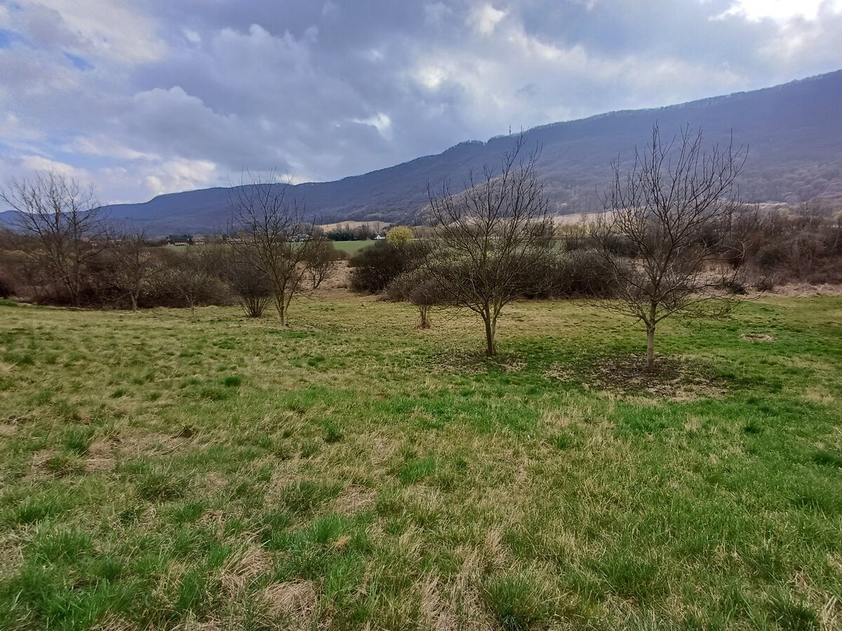 Slnečný pozemok v obci Jovice. — foto 3