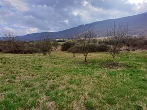 Slnečný pozemok v obci Jovice. — foto 3