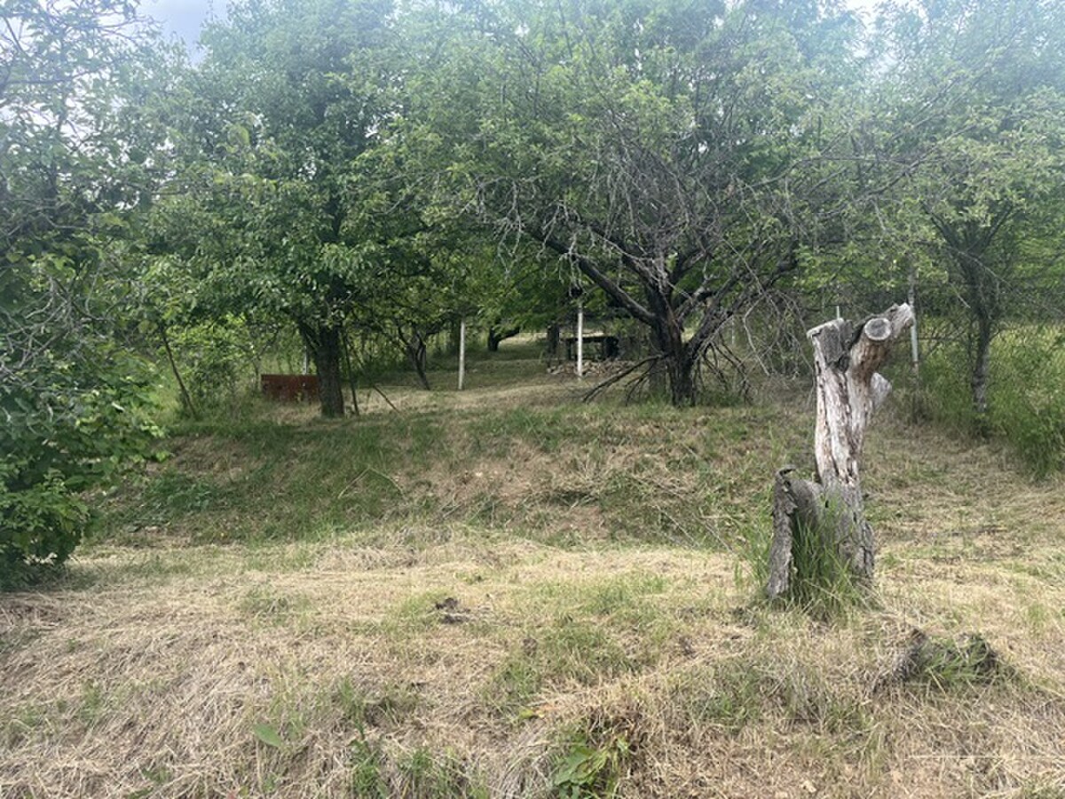 PREDAJ/ Krásna chalupa s vinicou/Jablonov nad Turňou — foto 11