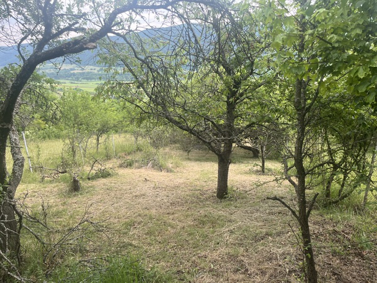 PREDAJ/ Krásna chalupa s vinicou/Jablonov nad Turňou — foto 14