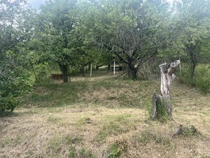 PREDAJ/ Krásna chalupa s vinicou/Jablonov nad Turňou — foto 11