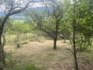 PREDAJ/ Krásna chalupa s vinicou/Jablonov nad Turňou — foto 14