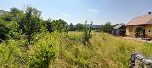 Rozľahlý pozemok v malebnej obci Gemerská Panica. — foto 4