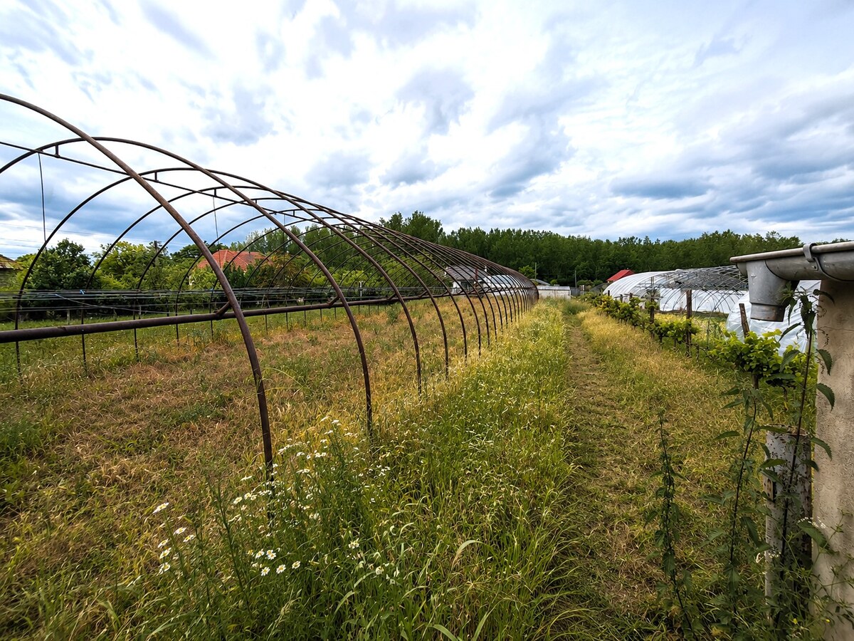 Na predaj stavebný pozemok v Imeli – 1 637 m². Znížená cena — foto 8