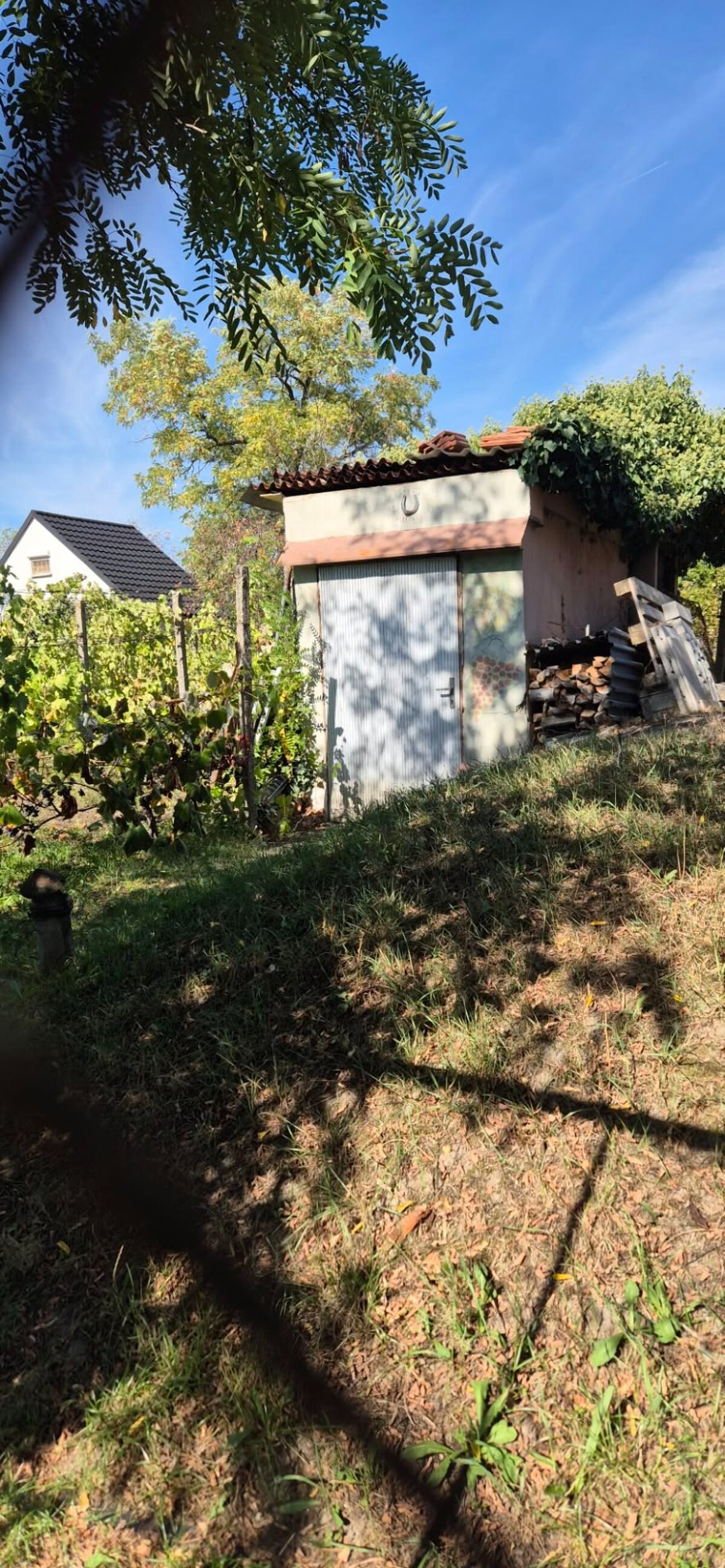 Vinica /400 m2/ s klenbovou vínnou pivnicou, Komárno — foto 2