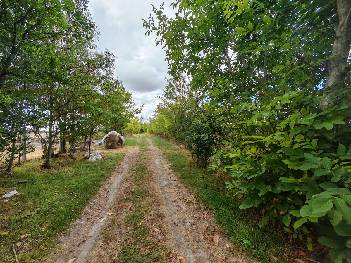 Na predaj starší rodinný dom na samote  v Okoličnej na Ostrove. — foto 6
