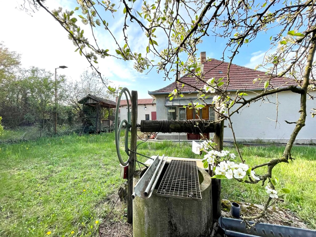 Rodinný dom s veľkým pozemkom /3094m2/, Dulovce — foto 12