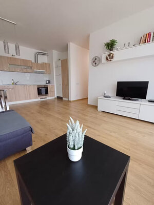 Predaj, 3 i byt s balkónom a garážovým státím, ul. Z. Shelingovej, DNV — foto 6