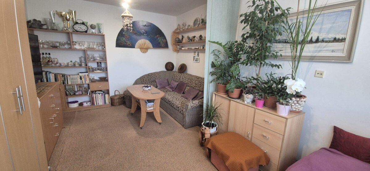 RESERVE_Dve samostatné izby, 118 000, Skuteckého ul., Malacky — foto 3