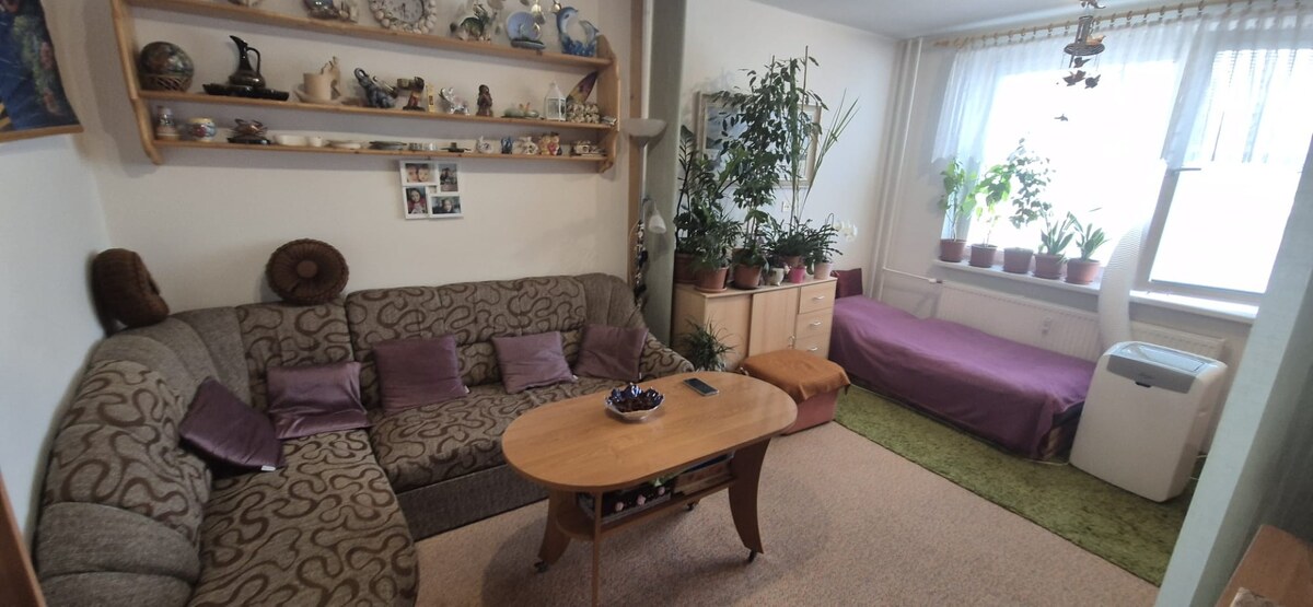 RESERVE_Dve samostatné izby, 118 000, Skuteckého ul., Malacky — foto 5