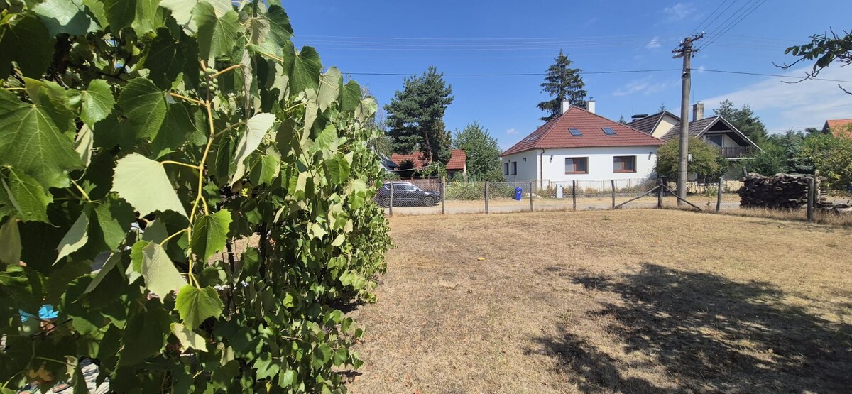 Predaj, chalupa v srdci prírody, Tomky, pozemok 1194 m2, okres Senica — foto 5