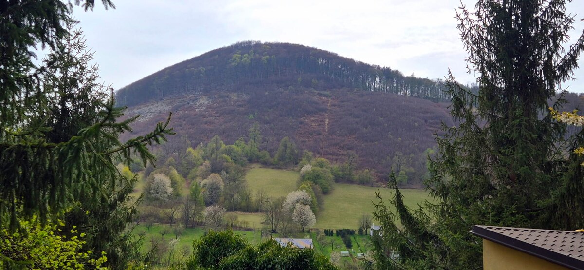 NA PREDAJ, pozemok vo výmere 1787 m2, IS pri pozemku k.ú. Pernek — foto 2
