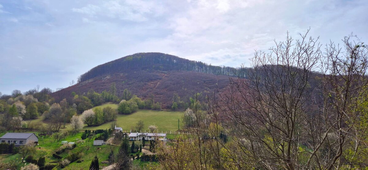 NA PREDAJ, pozemok vo výmere 1787 m2, IS pri pozemku k.ú. Pernek — foto 6