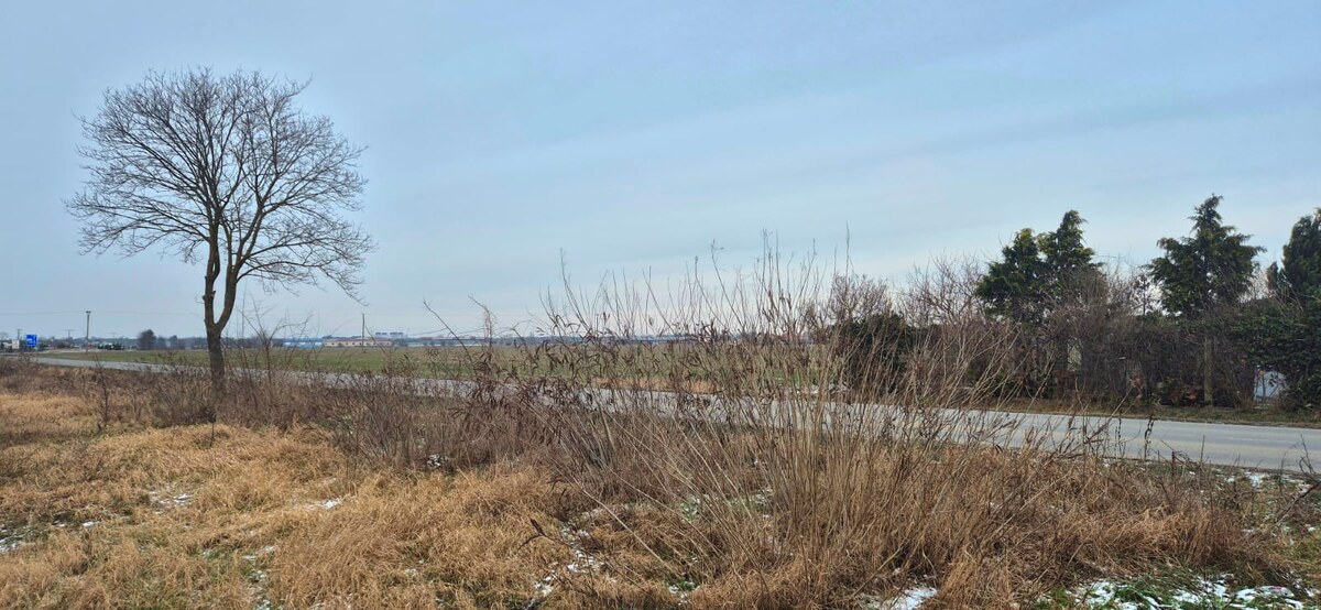 Investičná príležitosť, stavebný pozemok 4088 m2, obec Zohor, okres MA — foto 2
