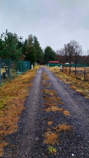 PREDAJ, krásny rovinatý stavebný pozemok 997 m2, priamo v lese, Tomky — foto 2
